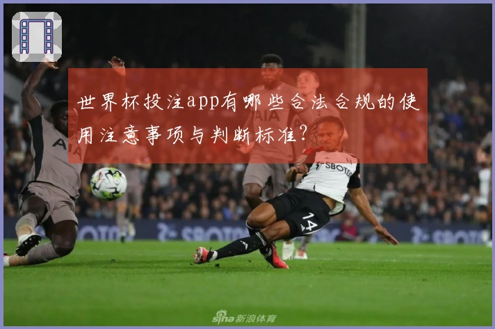 世界杯投注app有哪些合法合规的使用注意事项与判断标准？