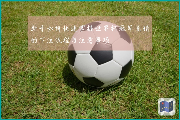 新手如何快速掌握世界杯冠军竞猜的下注流程与注意事项