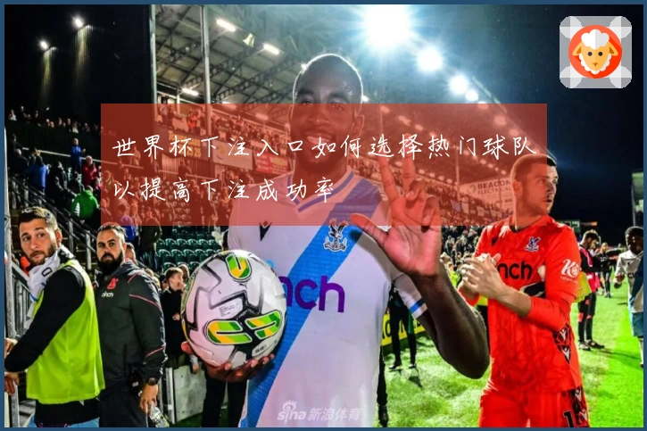 世界杯下注入口如何选择热门球队以提高下注成功率